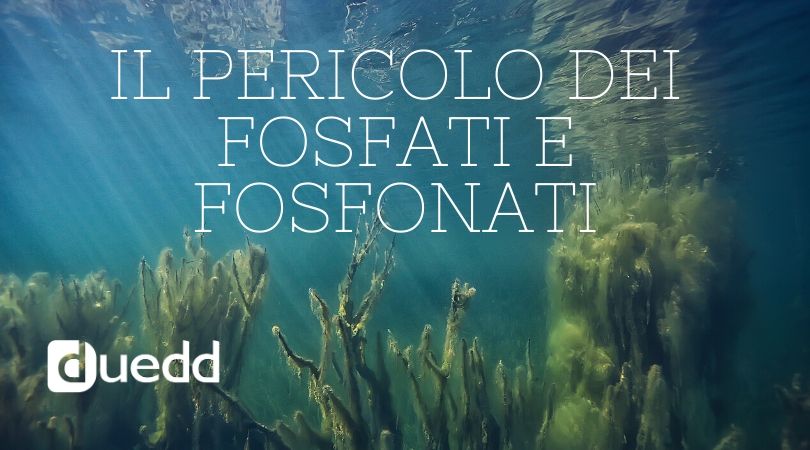 Bucato pulito e profumato rispettando te e l' ambiente
