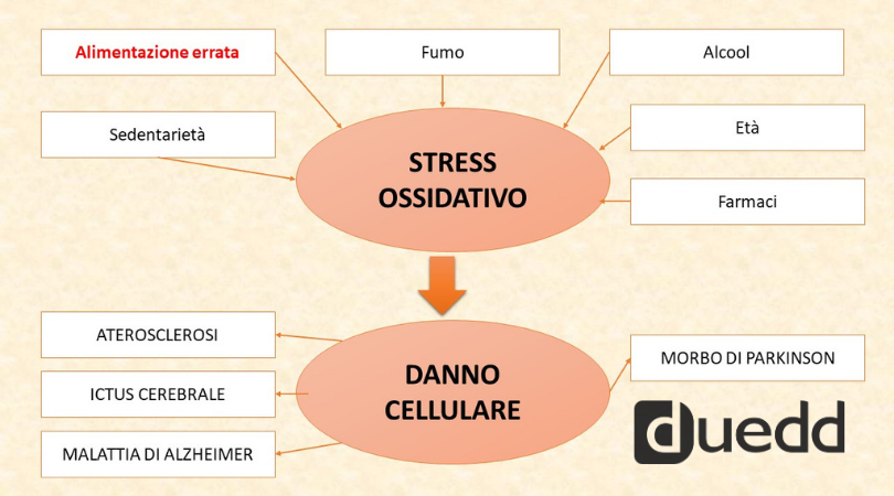 Lo sapevate che l'alimentazione puo' influenzare lo stress ossidativo?