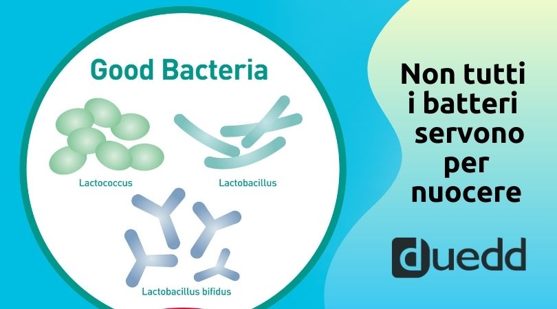 Lo sapevate che abbiamo un PICCOLO, ma NUMEROSO esercito di batteri?