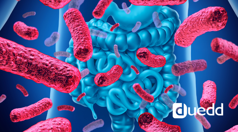 Perche' e' importante che il microbiota intestinale sia in equilibrio? 