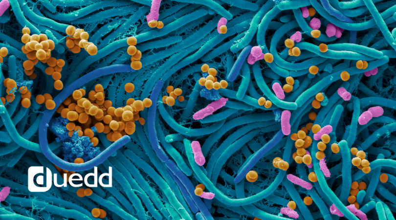 Il ruolo del microbiota intestinale e COVID-19