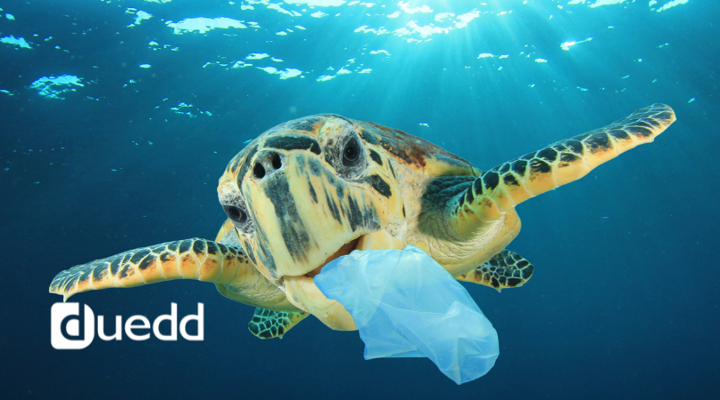 Lo sapete quanto possono essere pericolosi i rifiuti di plastica?