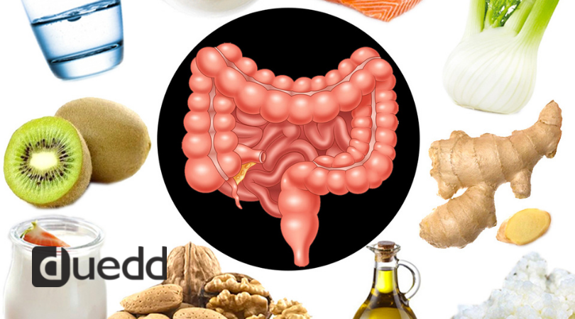 IL MONDO DELLA DIGESTIONE E DEL MICROBIOTA