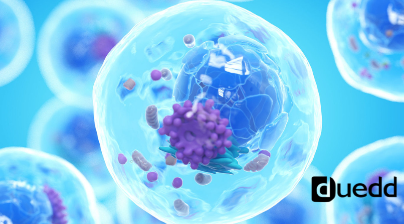 Il ritmo biologico nascosto: come l’orologio interno influenza la salute