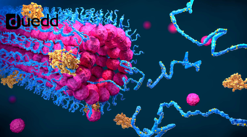 L'arte nascosto delle cellule: il ripiegamento dele proteine