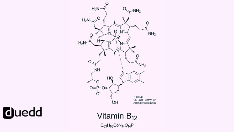 Vitamina B12: il legame tra energia, sangue e sistema nervoso