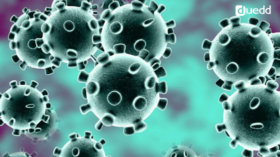 Siamo nel panico totale per il Coronavirus?