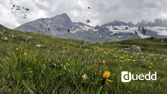 L'atmosfera sognante della primavera 